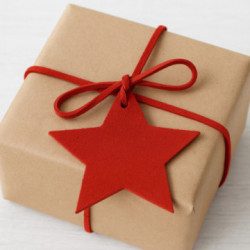 Červená vianočná ozdoba hviezda Gallo