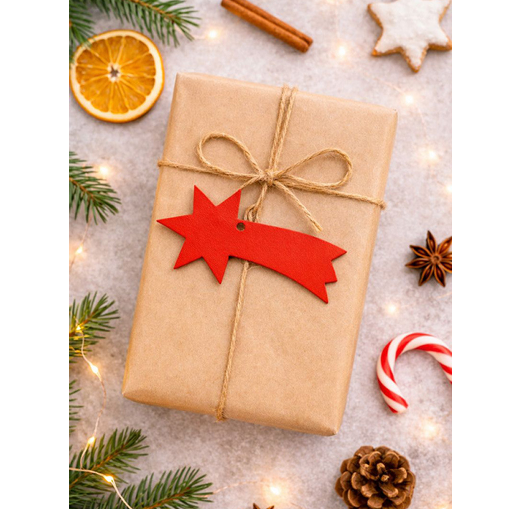 Červená vánoční ozdoba kometa 619-1214-31